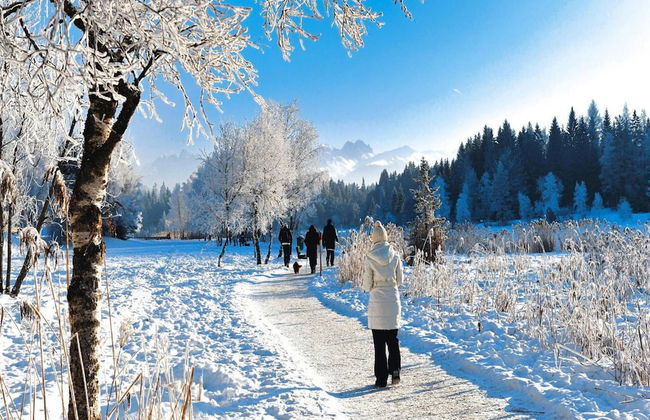 Apartments Home Bergbauernhof Wallnofer - Foto 16