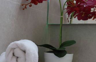 Villa Tres Palmeras en Alfaz del Pi , Albir, Benidorm - Photo 25