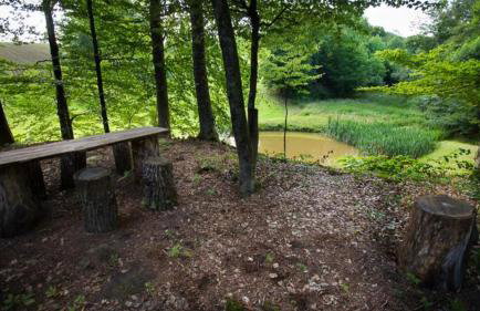 Apartman i sobe Pavek - Foto 2