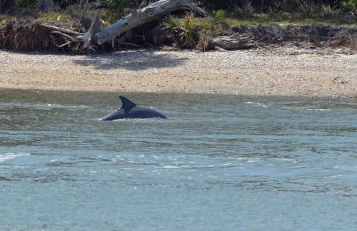 Palm Coast, FL 2BD 2BR Beach Villa! Walk to the Ocean! - Foto 11