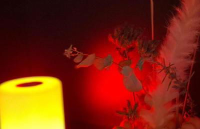 Au Studio Pissarro - Foto 15