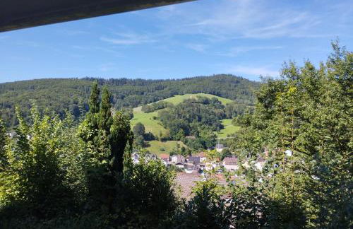 Das Tor zum Odenwald - Photo 1