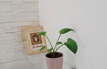 Casa Max Tenerife - Foto 14