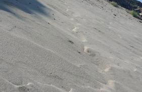 Casa Vacanza A Casa di Gio' n 52 contrada Mezzacampa località Messina - Foto 49