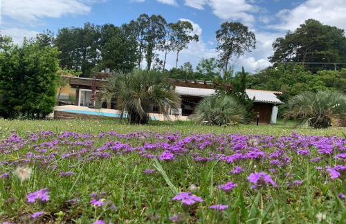 Casa Pamital Osório - Foto 1