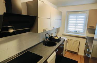 Schönes Apartment für Reisende und Berufstätige - Foto 10