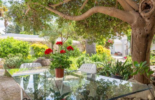 Moli dels Reis - Foto 36