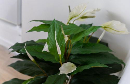 Cinéhouse, Proche Paris 5 min, 2 chambre - Foto 54