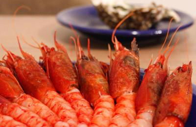 Duca d'Aosta Terrace, Skypool & Sauna - Foto 80