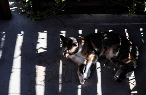 ROSTAGNI 1834 apt in villa with pool in the Barolo region - Foto 19