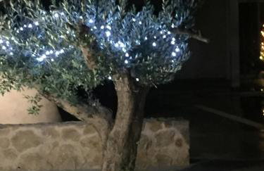 Olivetree house - Foto 30