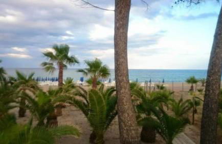 International Apartment - Photo 9