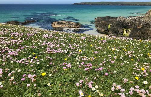 Nᴼ 21 Beautiful Cosy Modern Traditional Cottage - Photo 40