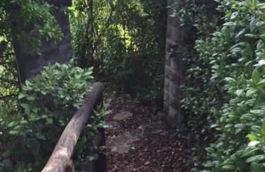 luxury villa in centre of tuscany - Foto 19