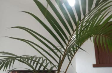 Bella Vista - Foto 74