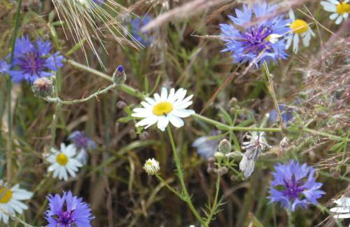 Ferienwohnung Wroblewsky - Foto 41