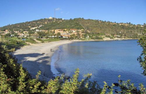 Mussilimbrosu - Photo 11