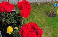 SUITE&ENJOY Hamburg - Foto 25