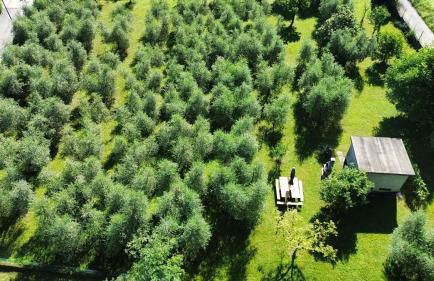 Villa Fiorita a Puegnago - BGL - Foto 36