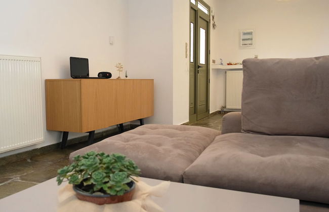 Terra Divina - Foto 34