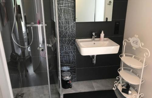 Ferienapartments Gohrisch Villa Schönblick - Foto 49