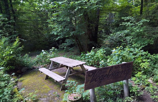 Chalet Vogelzang in the Ardennes - Foto 24