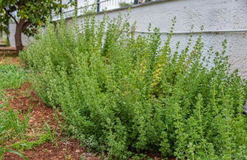 KrinesGReece - Foto 37