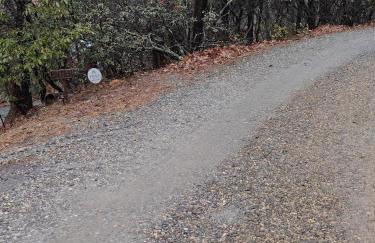 Red Roof Retreat - Photo 37