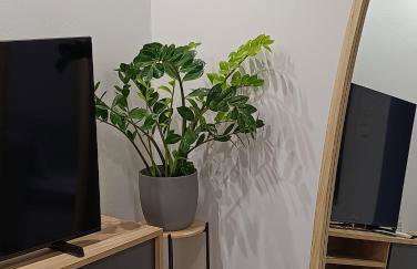 DS Elegant Apartment - Foto 15