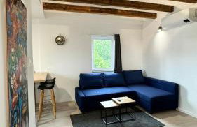 Charmant appartement 3 pièces proche hyper centre Strasbourg - Foto 11