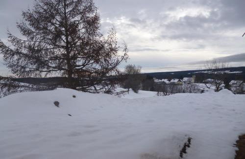 Ferienwohnung Schwarzwald-Alpenblick - Foto 37