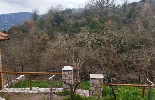 Stone Mountainhouse near Kalavryta, North Peloponnese, Greece - Foto 73