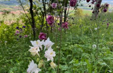 Ferienwohnung Weitblick - Photo 22