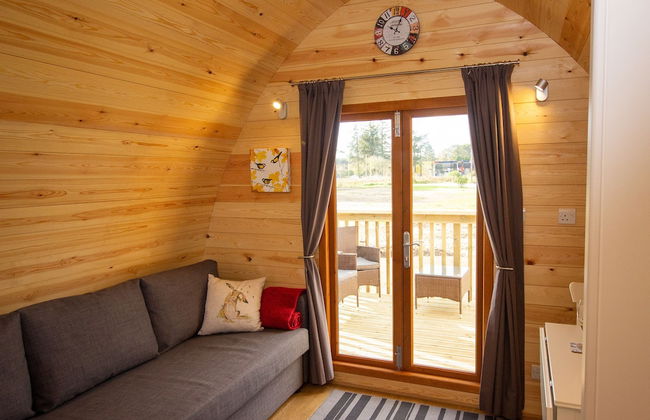 Evelix Pods - Photo 9