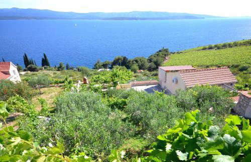 Apartments with parking space Murvica, Brac - 23462 - Foto 18