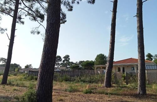 Santa Monta - Foto 34