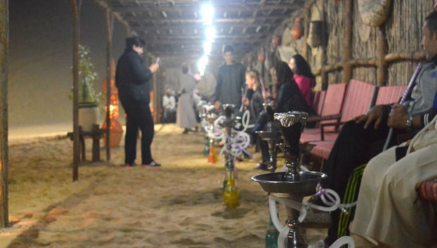 Excursión de un día a la ciudad de Abu Dhabi y safari por el desierto - Foto 2