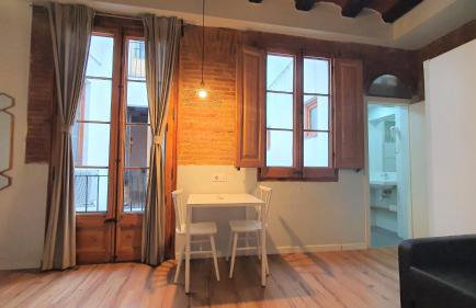 Barrio Gotico Apartments Ferran - Foto 43