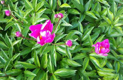 Kuća za odmor VB-IDRO - Foto 6