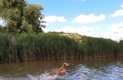 Holiday Home Haus am Seeufer in Plau am See by Interhome - Foto 19