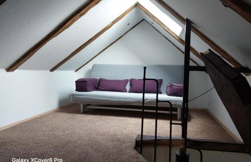 Dachgeflüster - Foto 7