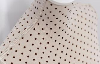 Salamandra - Photo 35