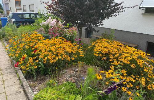 Fewo Weinland - Foto 21