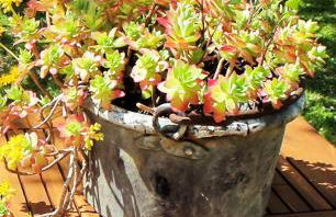 Villa Sofia 1714 - Foto 21