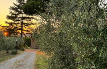 L’ Aia del Principe - Photo 67