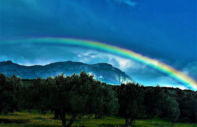 Apartments With sea View in Creta Ierapetra - Foto 19