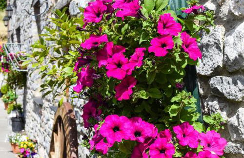 3 Bed in Pembroke oc-bow018 - Foto 27