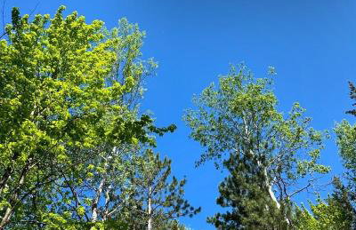 Rocky Pines UP - Foto 38