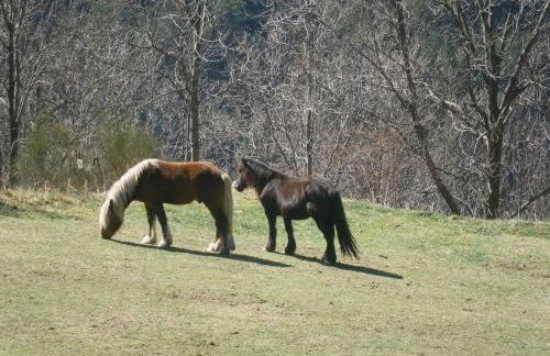 Apartaments Fontalba - Foto 42