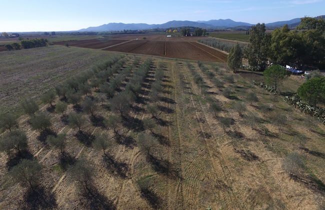 Agriturismo Benvenuti - Foto 42